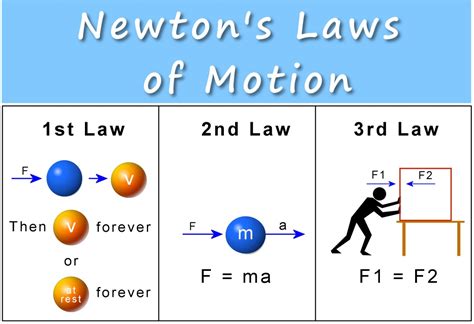 a steel ball is at one end of a box|Newton's Laws of Motion Test Review Flashcards.